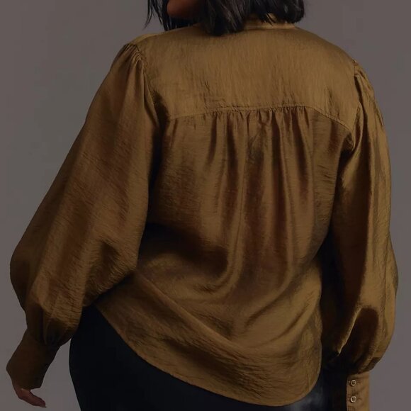 Long-Sleeve Sheer Blouse - Picture 4 of 6